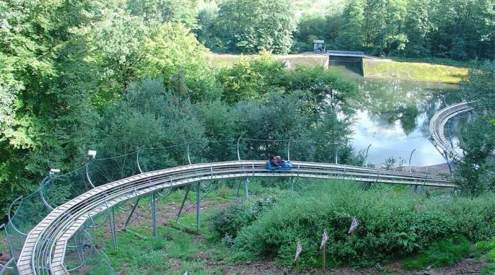 Luge alpine coaster