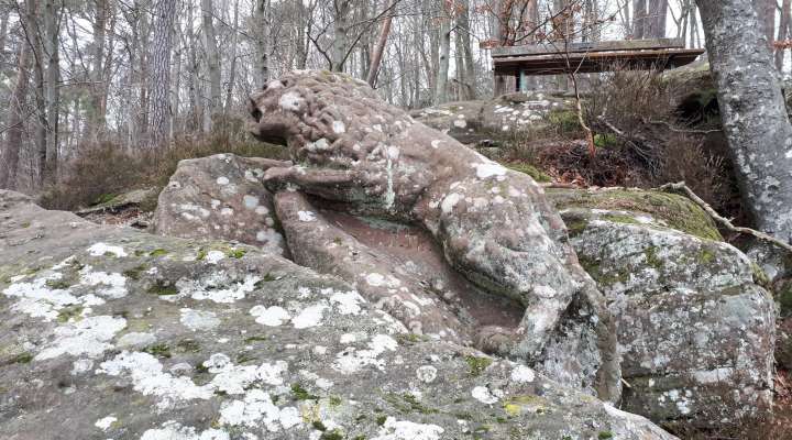 Rocher du Corbeau - Krappenfels