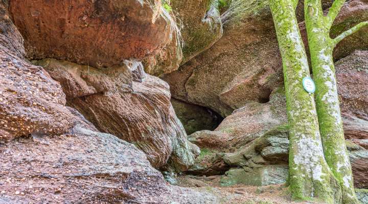 LA GROTTE DE DANNE