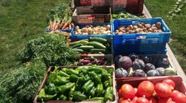 Dieudonné - Frères & Terre