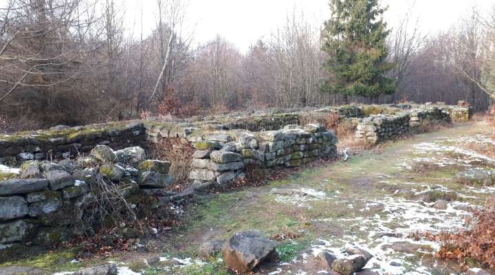 Vestiges gallo-romains du Wasserwald