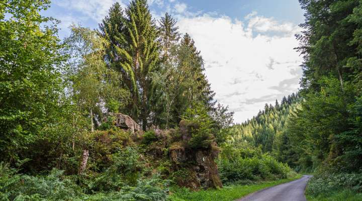 Circuit la table de la Paie et le Jaegerhof