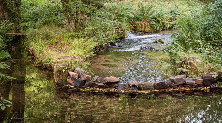 Circuit sur les versants de la rivière Zorn entre Harreberg et Dabo