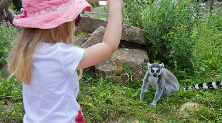 Sainte-Croix animal park