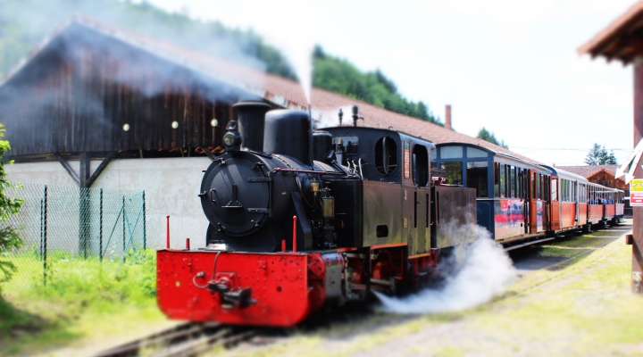 Forest railway Abreschviller