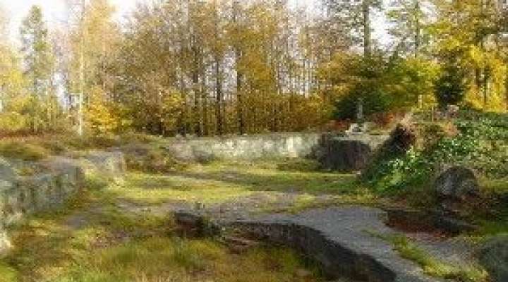 William's cross (croix Guillaume)