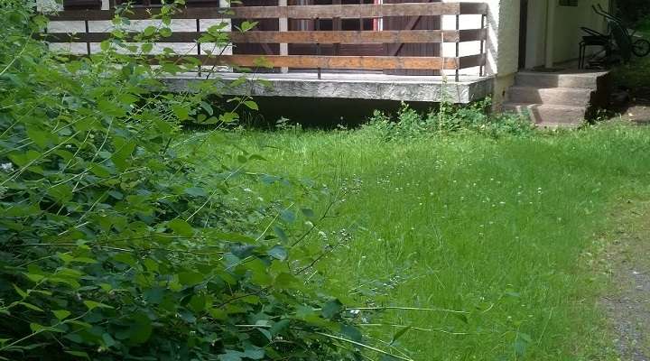 Holiday cottage chalets nature