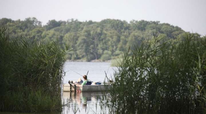 Étang du Stock - Langatte leisure center