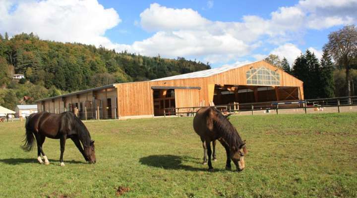 Equestrian farm Balzanes
