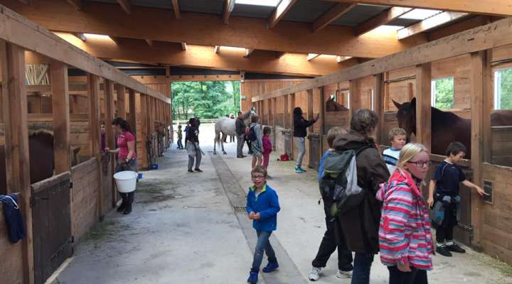 Equestrian farm Balzanes