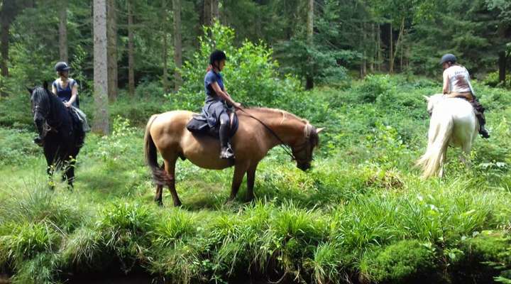 Equestrian farm Balzanes