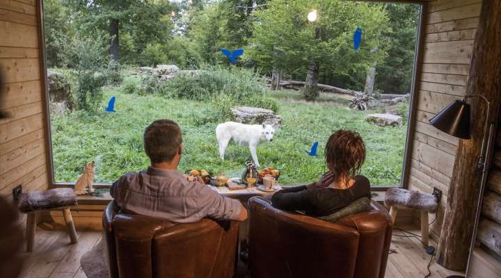 Unusual accommodation - Cabane du Trappeur