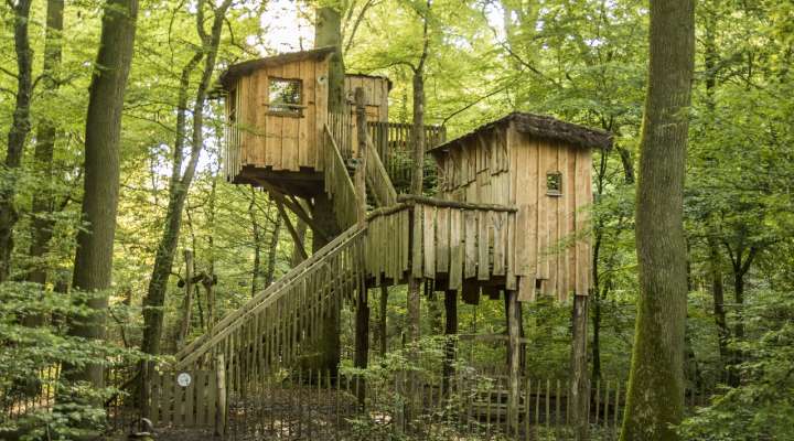 Hébergement insolite - Cabane d'Ysengrin