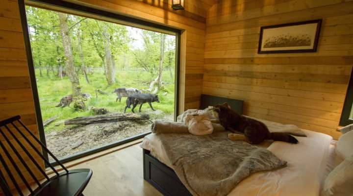Unusual accommodation - Jack London lodge