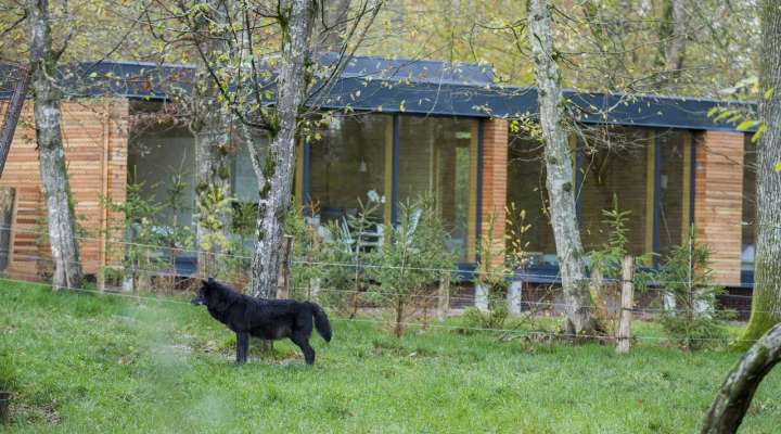 Unusual accommodation - Yellowstone lodge