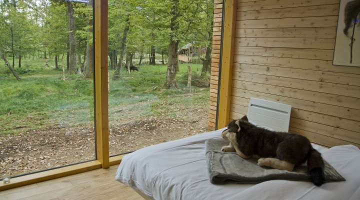 Unusual accommodation - Yellowstone lodge