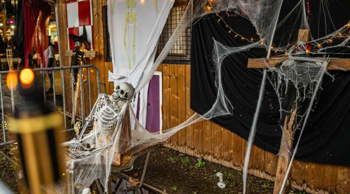 Night of horror at the forest train