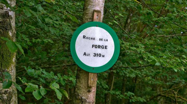 Forge rock