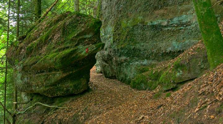 Forge rock