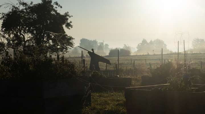 Halloween escape game