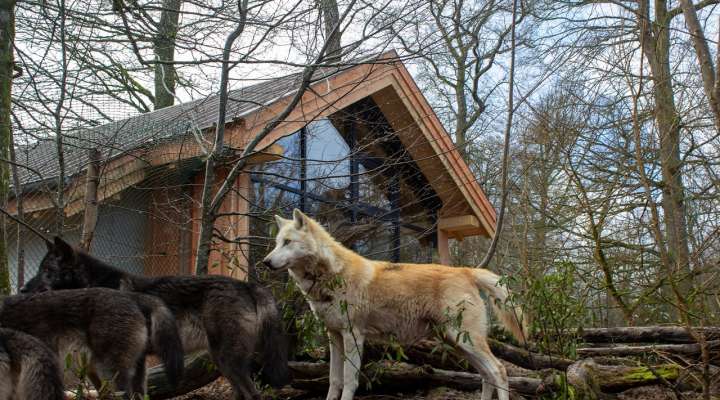 Unusual accommodation - Yukon lodges