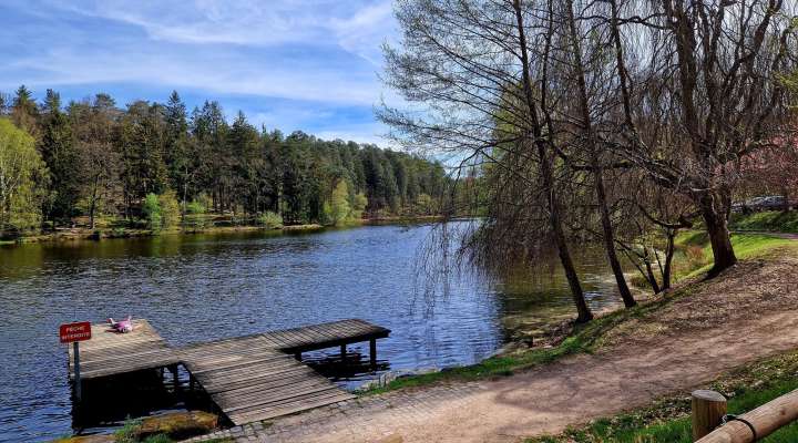 VVF villages Club intense le Parc des Vosges du Nord