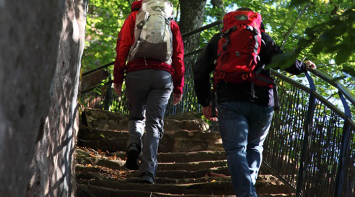 The ruins of Ramstein castle