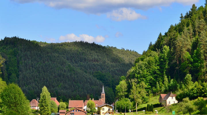 The former Cistercian abbey
