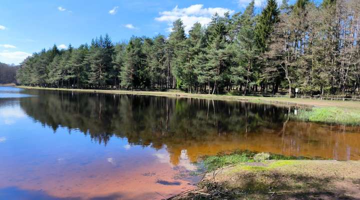Etang de Hanau leisure park