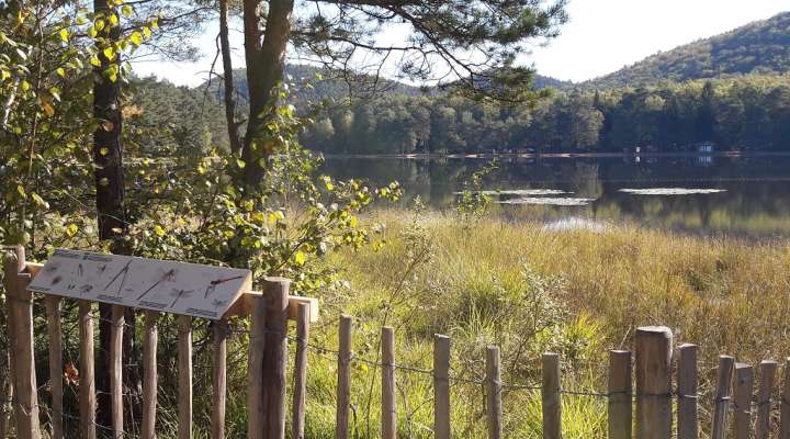 The peat bog at Hanau lake