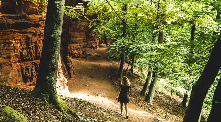 Altschlossfelsen Rock