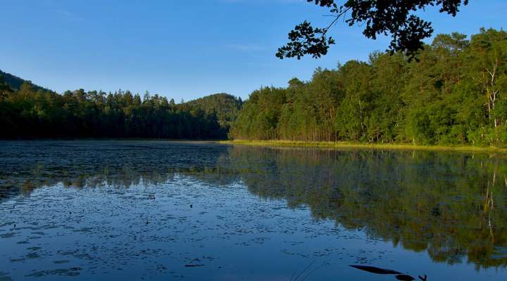 Lieschbach pond nature reserve