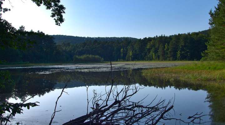 Étang de waldeck - réserve naturelle