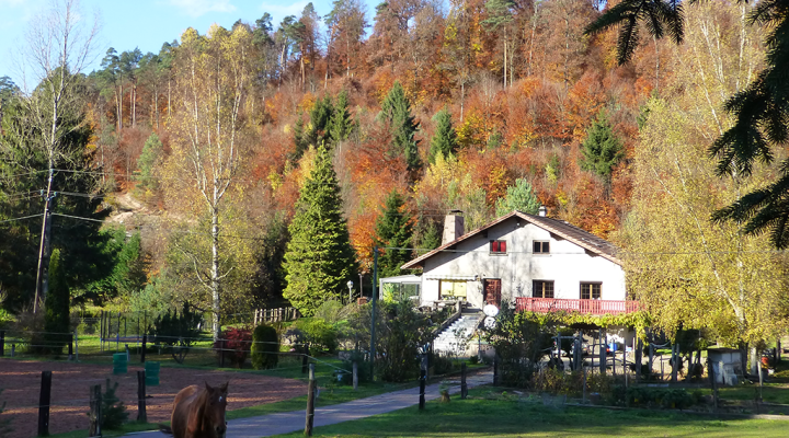 Domaine l'échappée verte