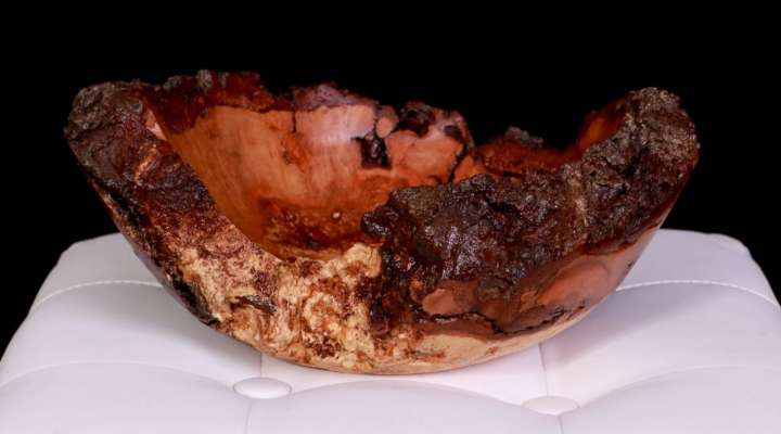 Wood fiber - Fabien Rumpler