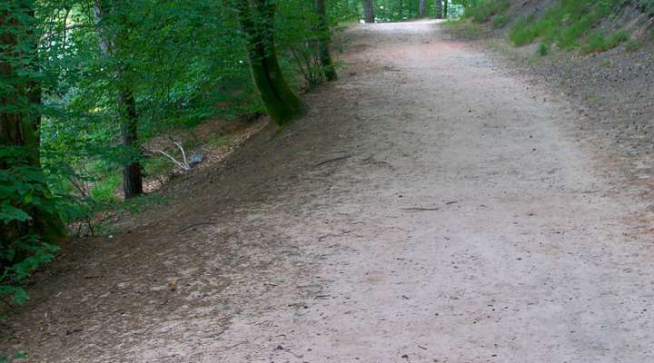 Sentier d'excellence 2 - autour de l'étang de Hasselfurth
