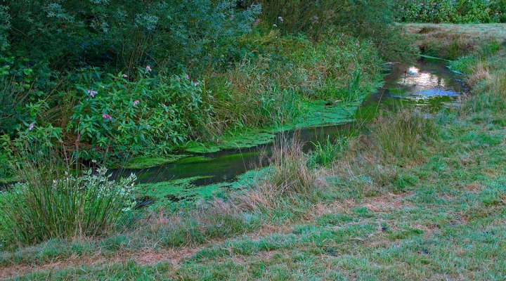 La vallée de la horn