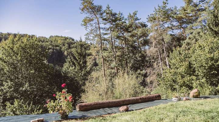 Meublé le Schwitzerhiwel