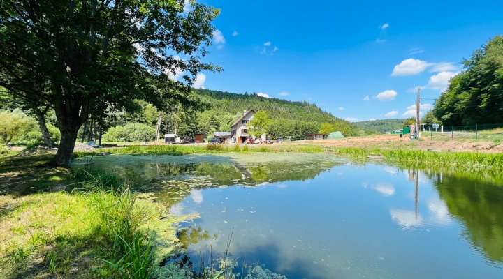 Le domaine du trèfle d'or