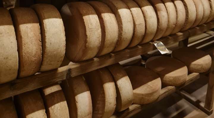 Fromagerie de l'Abbaye de Vergaville