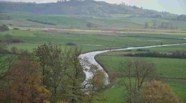 Vallée de la Seille et prés salés de Marsal
