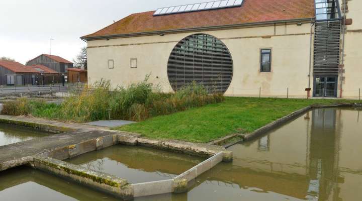 Domaine départemental de Lindre - pisciculture