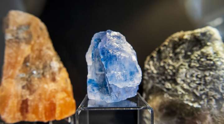 Visite guidée - Un dimanche au musée