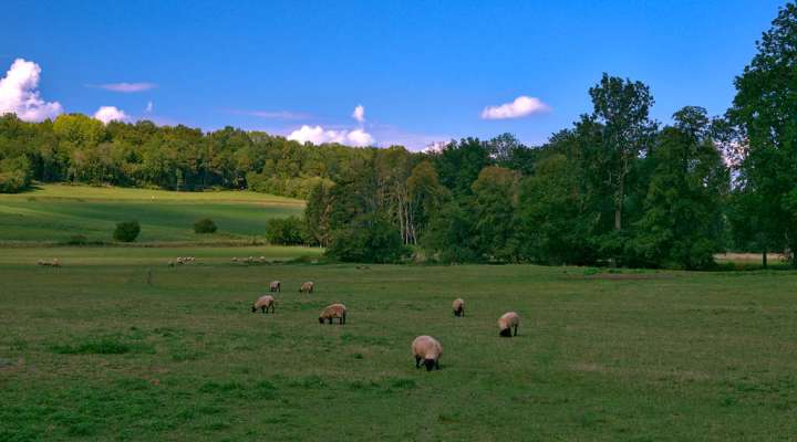 The two valleys circuit via Vasperviller