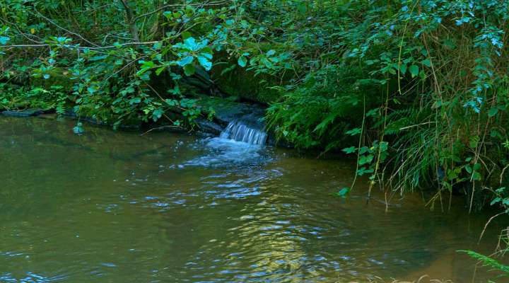 The two valleys circuit via Vasperviller