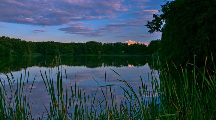 Ponds circuit - Rhodes - Lindre - Canal