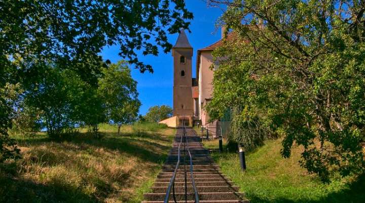 The schoolchildren's path