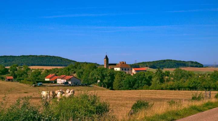 The schoolchildren's path