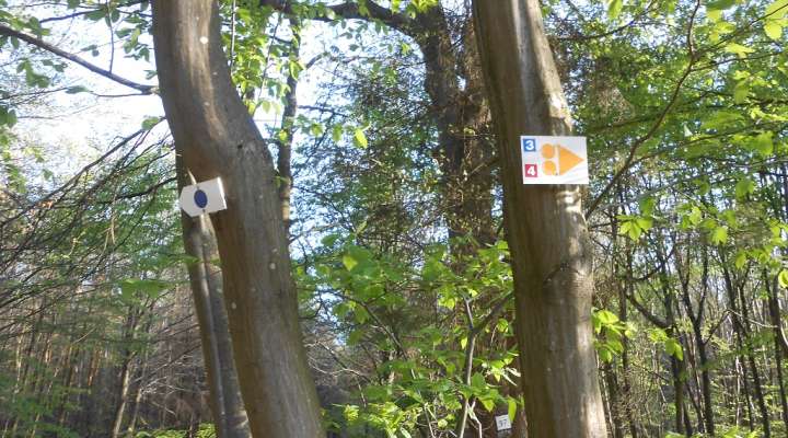 Oderfang - Longeville