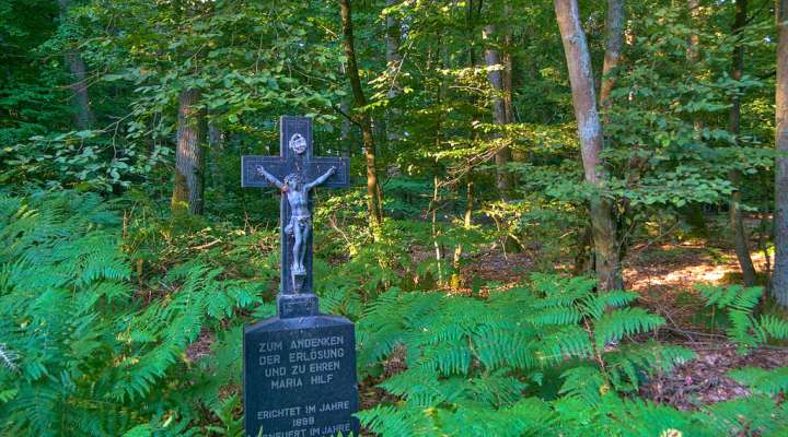 Oderfang - Porcelette - Creutzwald